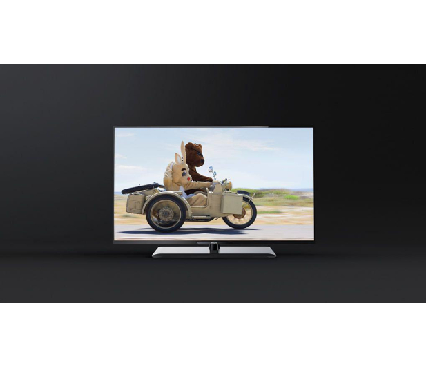 Philips 22PFK4209 FullHD/100Hz/USB/HDMI/DVB-T/C - 238981 - zdjęcie 5